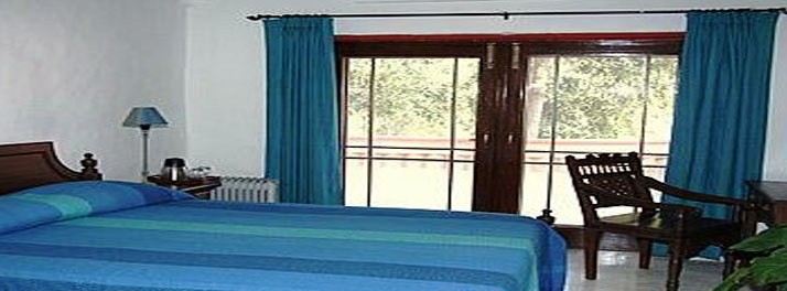 2493/The Banyan Farm - New Delhi 05.jpg